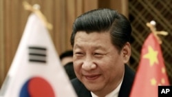 Chinese President Xi Jinping smiles during a meeting with South Korean National Assembly Speaker Chung Ui-hwa at the National Assembly in Seoul, South Korea, Friday, July 4, 2014.