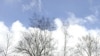 Coming Home to Chernobyl’s Desolation Zone