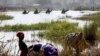 Chadian Troops Retake Nigerian Village From Boko Haram