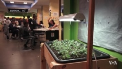 New Jersey School's Curriculum Focuses on Healthful Eating