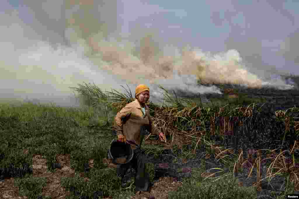 A local resident tries to extinguish a fire burning in Ogan Ilir, near Palembang, South Sumatra, Indonesia in this photo taken by Antara Foto.
