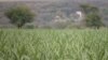 US-Mexico Sugar Trade Talks Go into Overtime