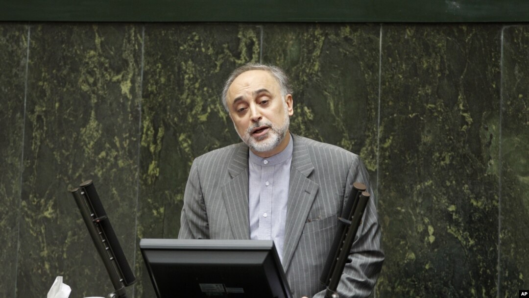 Foreign Minister of Iran Ali Akbar Salehi (file photo - January 30, 2011)