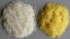 อนาคตของ Golden Rice กับคุณค่าจากวิตามินเอและเสียงต่อต้านจากการตัดแต่งพันธุกรรม 
