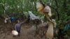 Dumping Plastic Waste in Asia Found Destroying Crops and Health