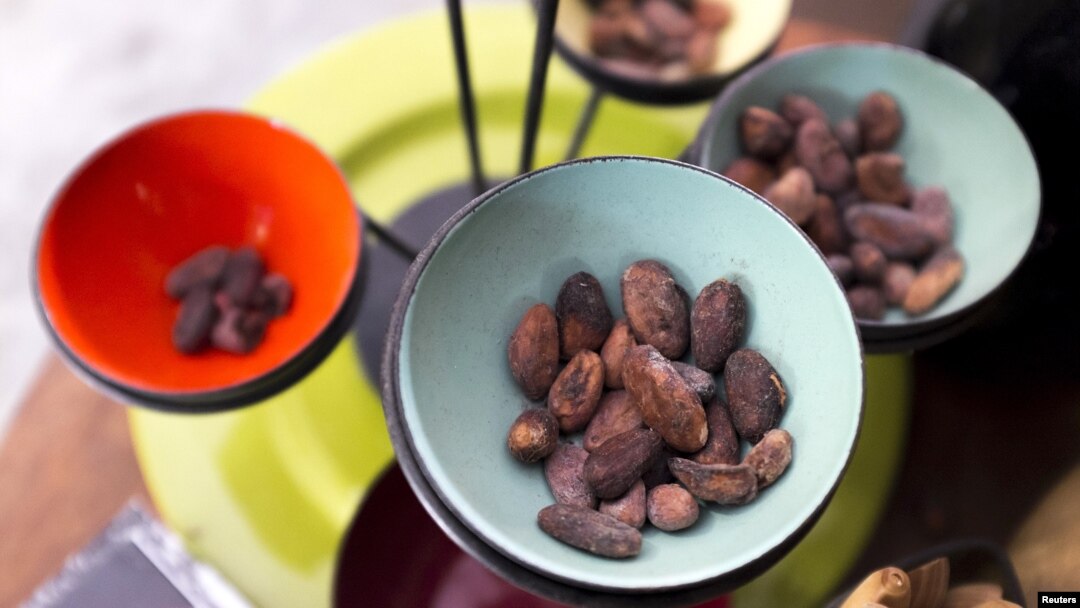 Cocoa beans are displayed a store in Caracas, April 10, 2015. 