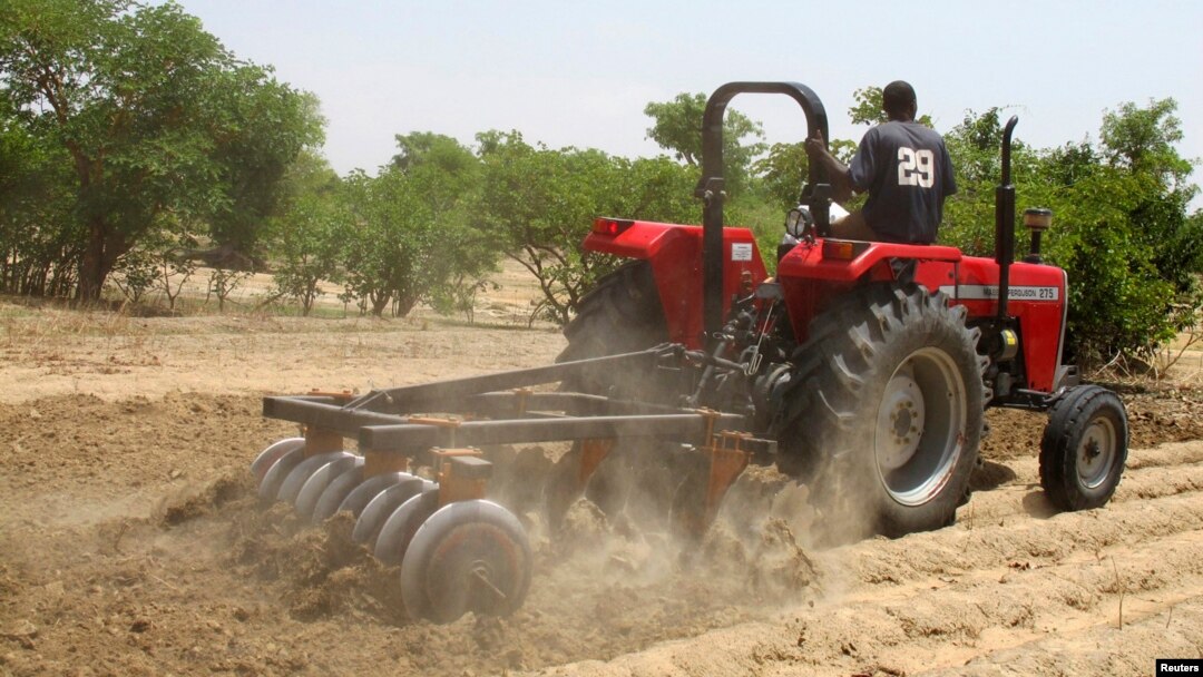 FILE - A farmer plows the field in Saulawa village, on the outskirts of Nigeria's north-central state of Kaduna.