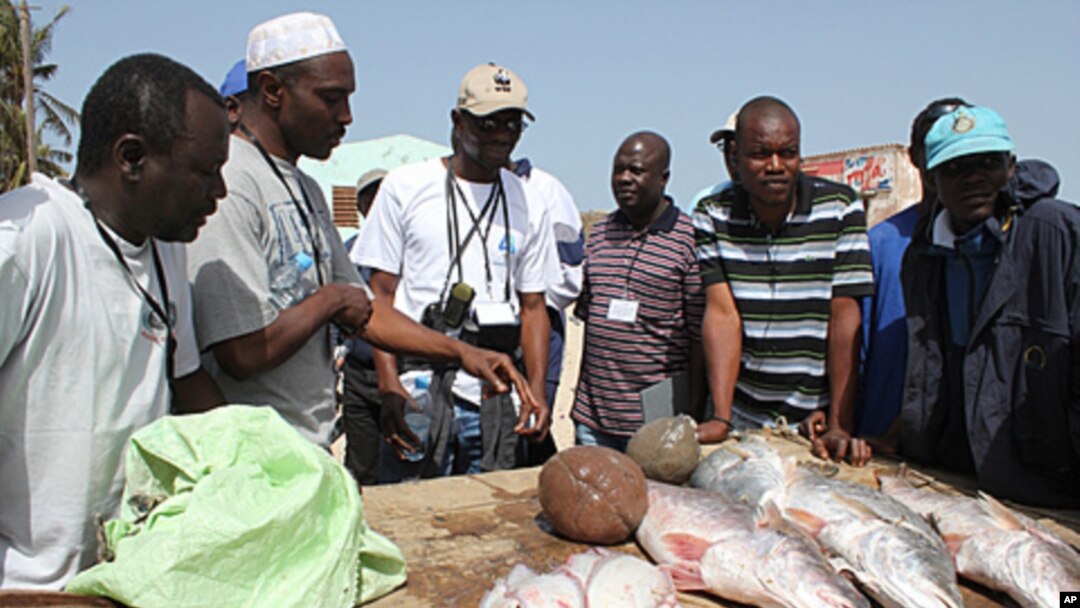 Senegalese fishermen talk with environmental groups about the changes they've seen in fishing stocks