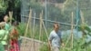 Students grow their own health snacks in the school's garden.