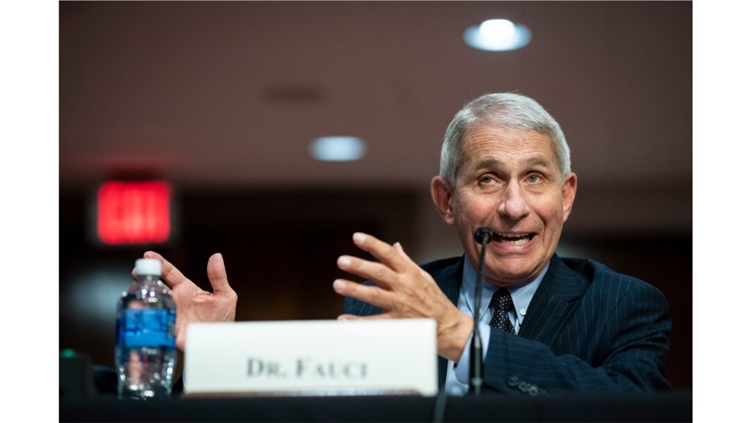 FILE - Director of the National Institute of Allergy and Infectious Diseases Dr. Anthony Fauci speaks during a Senate Health, Education, Labor and Pensions Committee hearing on Capitol Hill in Washington, June 30, 2020.