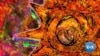 16x9 Image