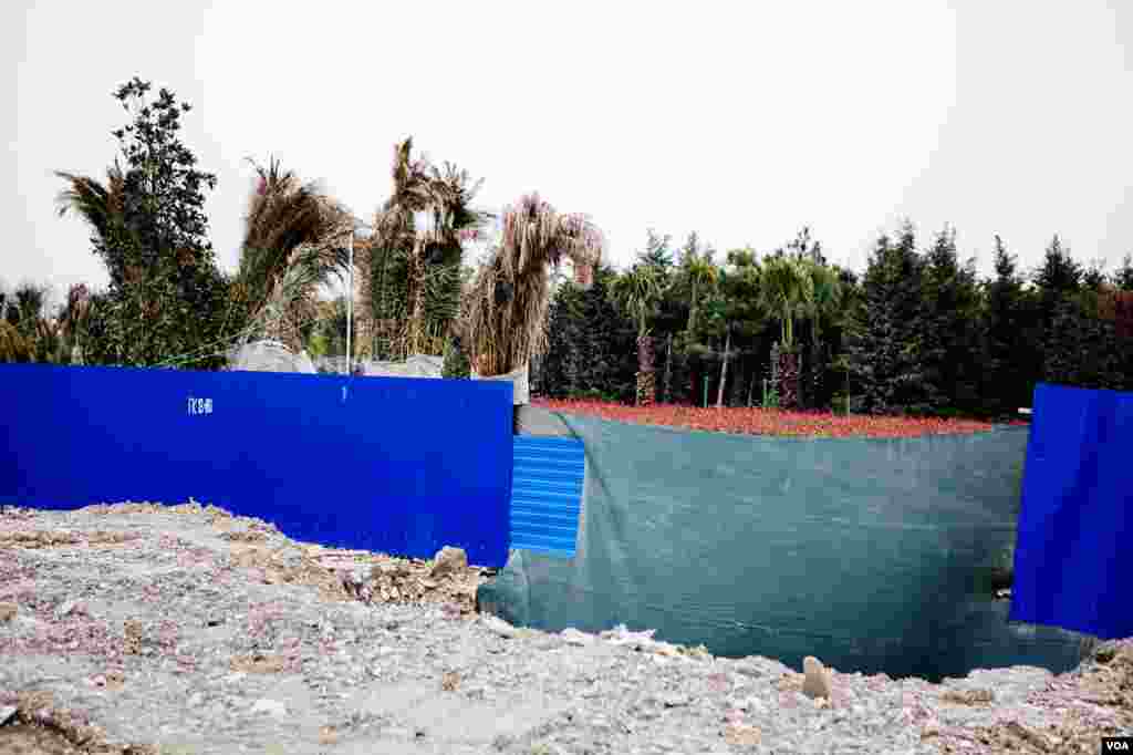 Subtropical plants acclimate in a nursery in preparation for massive landscaping planned for the months prior to the Olympics, Sochi, Russia, March 15, 2013. (V. Undritz/VOA)