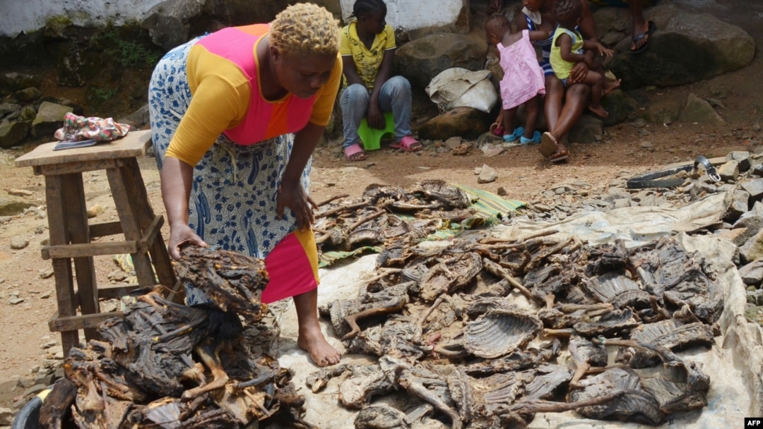 FILE - Alice Jallabah, head of a bushmeat seller group, holds dried bushmeat on Oct. 7, 2014, in Monrovia. The outbreak of the Ebola virus in Liberia led to a ban on eating bushmeat.