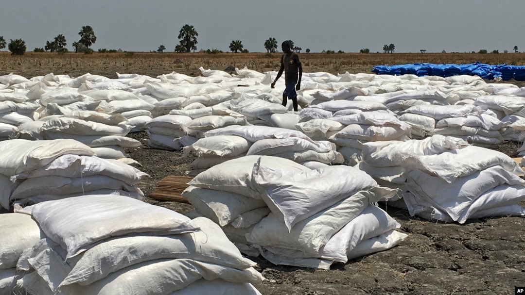 FILE - Bags of food dropped by air from a World Food Program plane are sorted in Padeah, South Sudan. South Sudanese who fled famine and fighting in Leer county emerged from South Sudan's swamps after months in hiding to receive food aid.