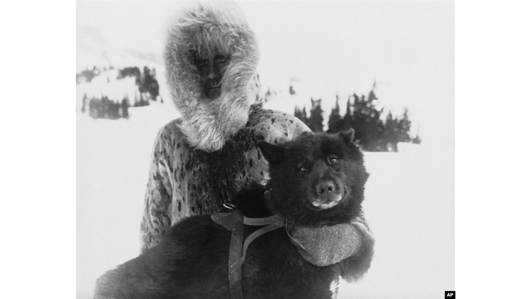 Gunnar Kaasen, shown with his dog Balto, the heroic dogsled team leader, are shown in the early 1920s. (AP Photo)